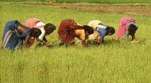 Die Wirtschaft in Indien